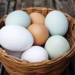 Egg-spired Eats: A Guide to Salvaging Supposedly Spoiled Eggs