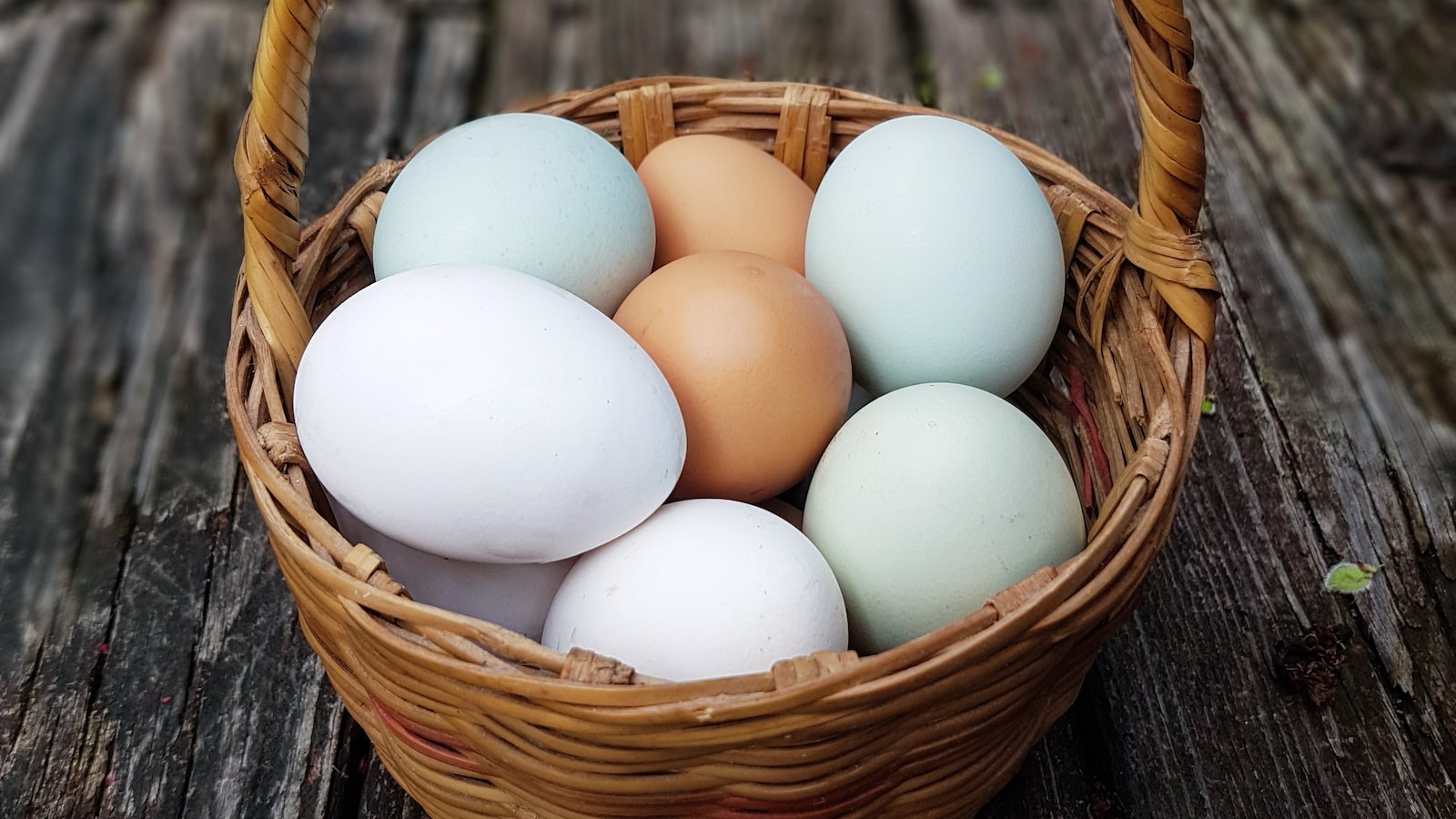 Egg-spired Eats: A Guide to Salvaging Supposedly Spoiled Eggs