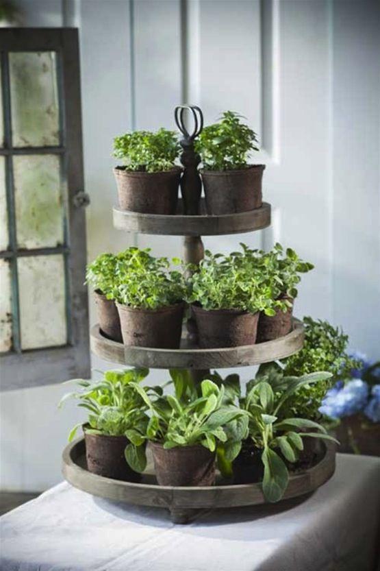 Indoor Herb Gardens: A Comprehensive Guide for Beginners